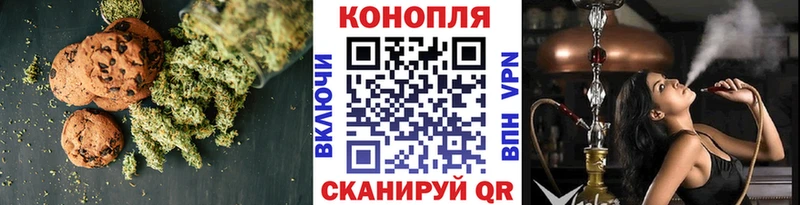 Canna-Cookies марихуана  Купить закладки  Новое Девяткино 