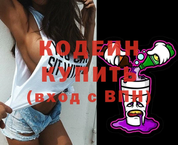 хмурый Елизово