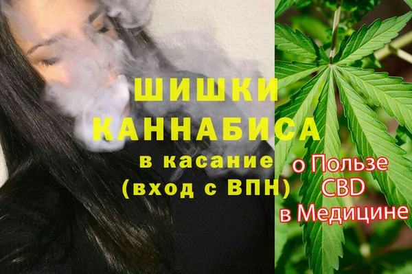 хмурый Елизово