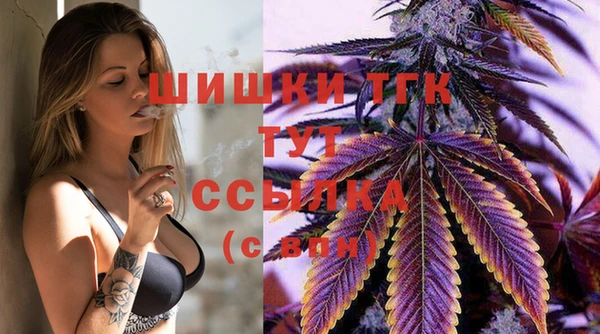 крисы Елабуга