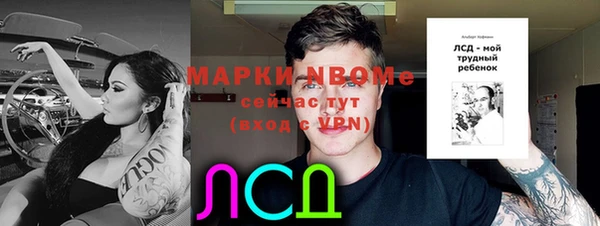 крисы Елабуга