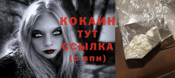 крисы Елабуга