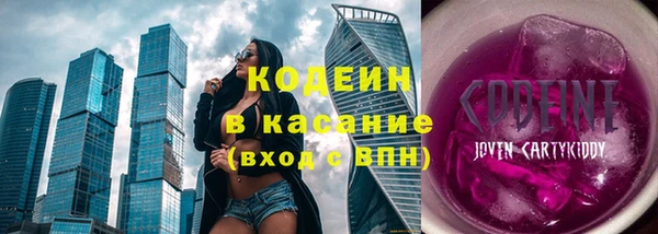 крисы Елабуга