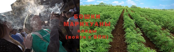 хмурый Елизово