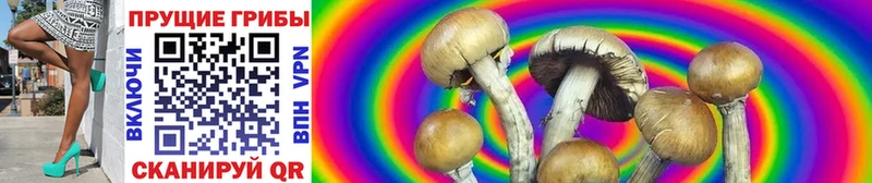 Купить  Новое Девяткино  Псилоцибиновые грибы Magic Shrooms 